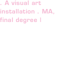 . A visual art installation . MA, final degree |